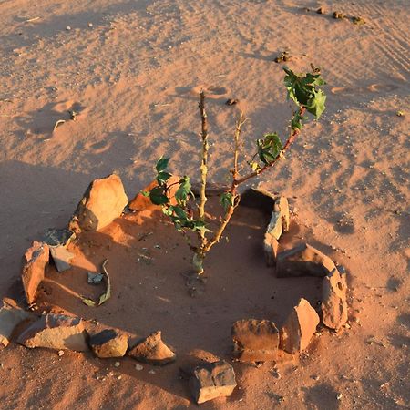 Wadi Rum Nights Exterior foto