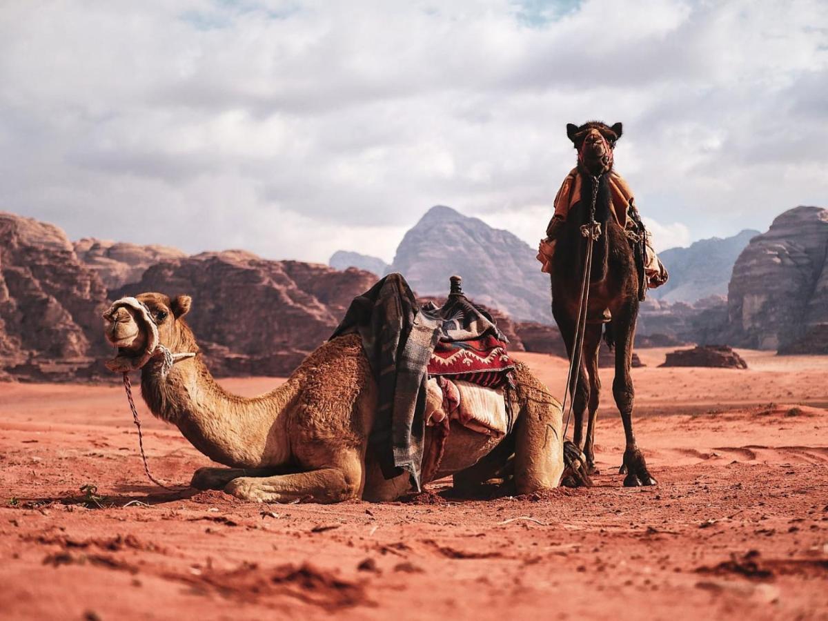 Wadi Rum Nights Exterior foto
