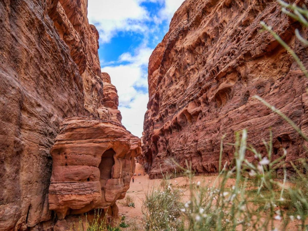 Wadi Rum Nights Exterior foto