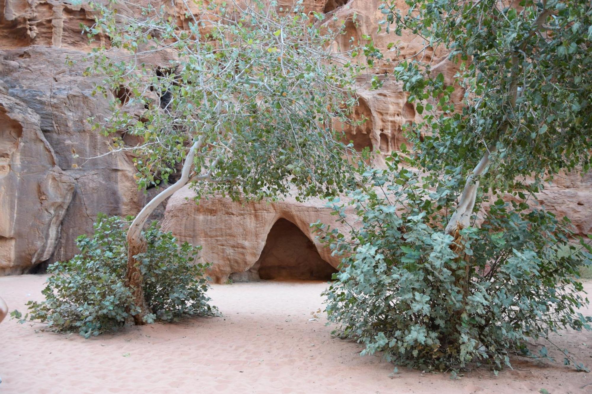 Wadi Rum Nights Exterior foto